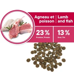 Skin and Coat Formula for Adult Dog Medium and Large Breeds, Lamb and Fish, 11kg