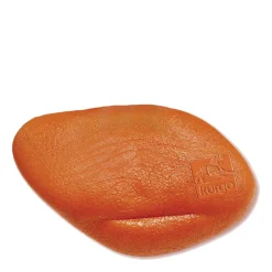 Skipping Stones Dog Toy