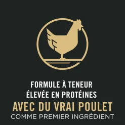 Specialized Calm & Balanced Chicken & Rice Formula Dry Dog Food, 13.6 kg