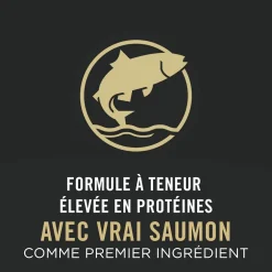 Specialized LiveClear Salmon & Rice Formula Dry Cat Food, 7.26 kg