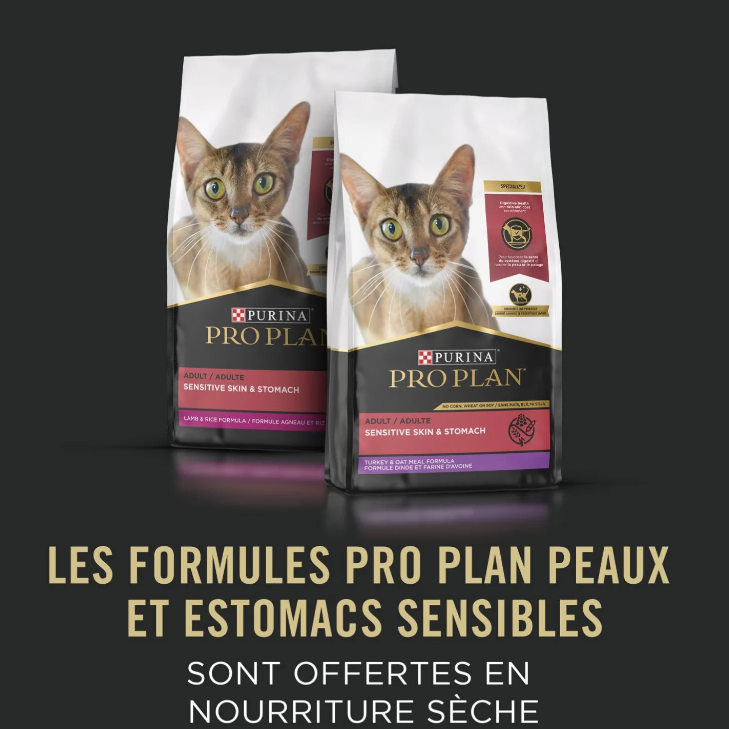 Specialized Sensitive Skin & Stomach Chicken Entrée for Cats, 85 g