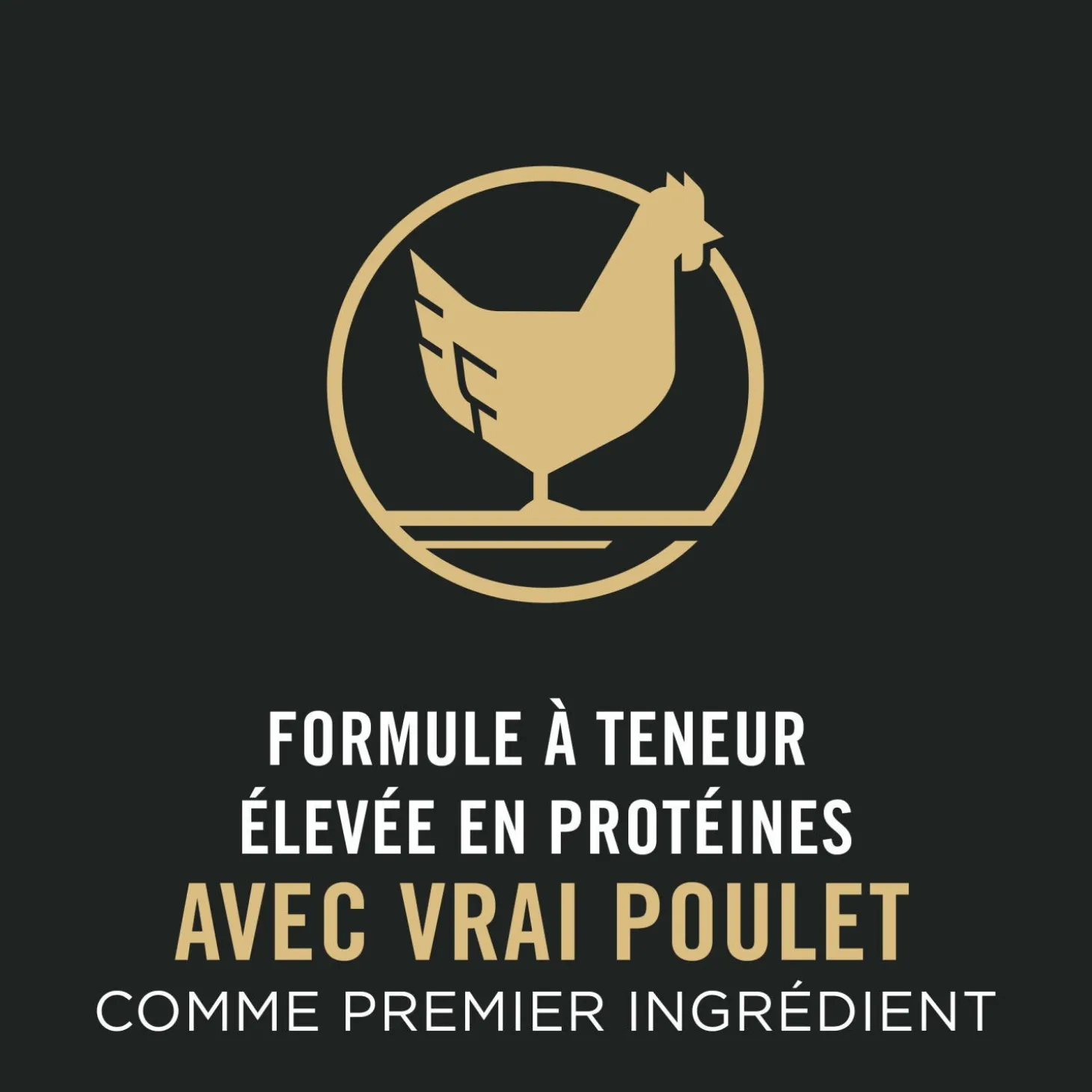 Specialized Small Breed Chicken & Rice Formula Dry Dog Food, 2.72 kg