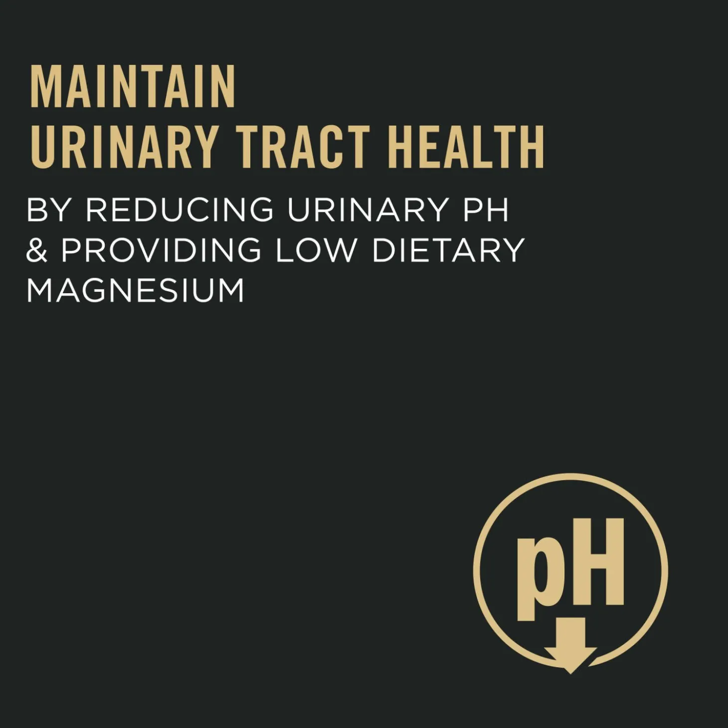 Specialized Urinary Tract Health Chicken & Rice Formula Dry Cat Food, 7.26 kg