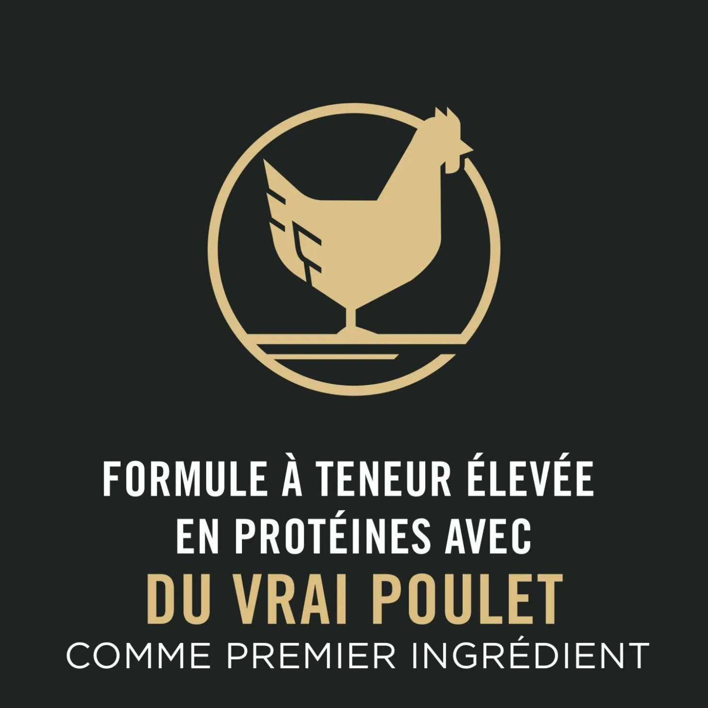 Specialized Weight Management Chicken & Rice Formula Dry Cat Food, 7.26 kg