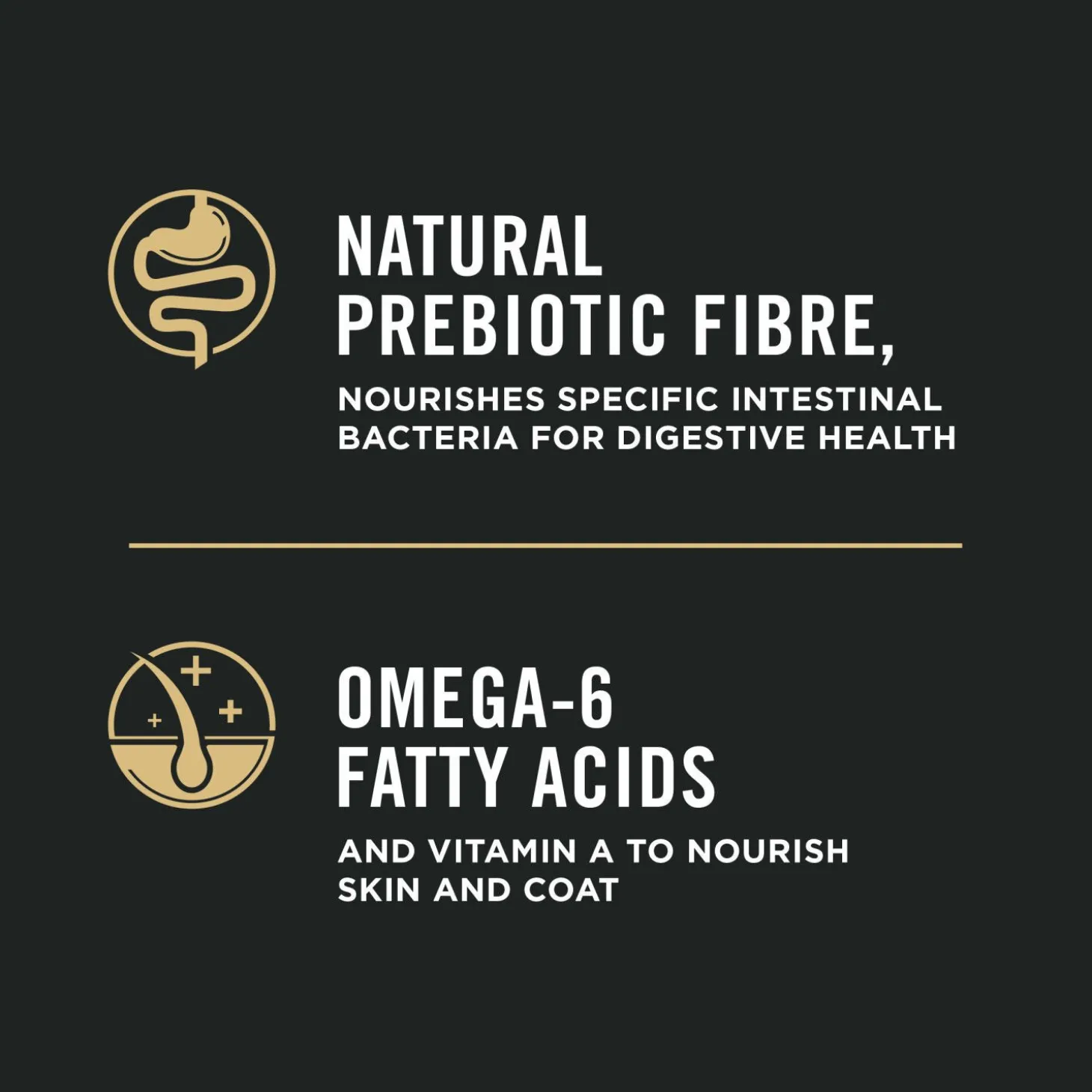 Specialized Weight Management Chicken and Rice Formula, Dry Dog Food, 15.4 kg