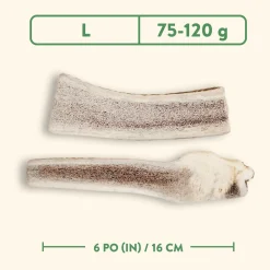 Split Antler Dog Chew, Nature