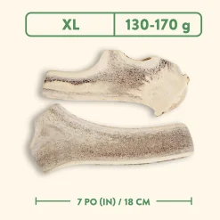 Split Antler Dog Chew, Nature