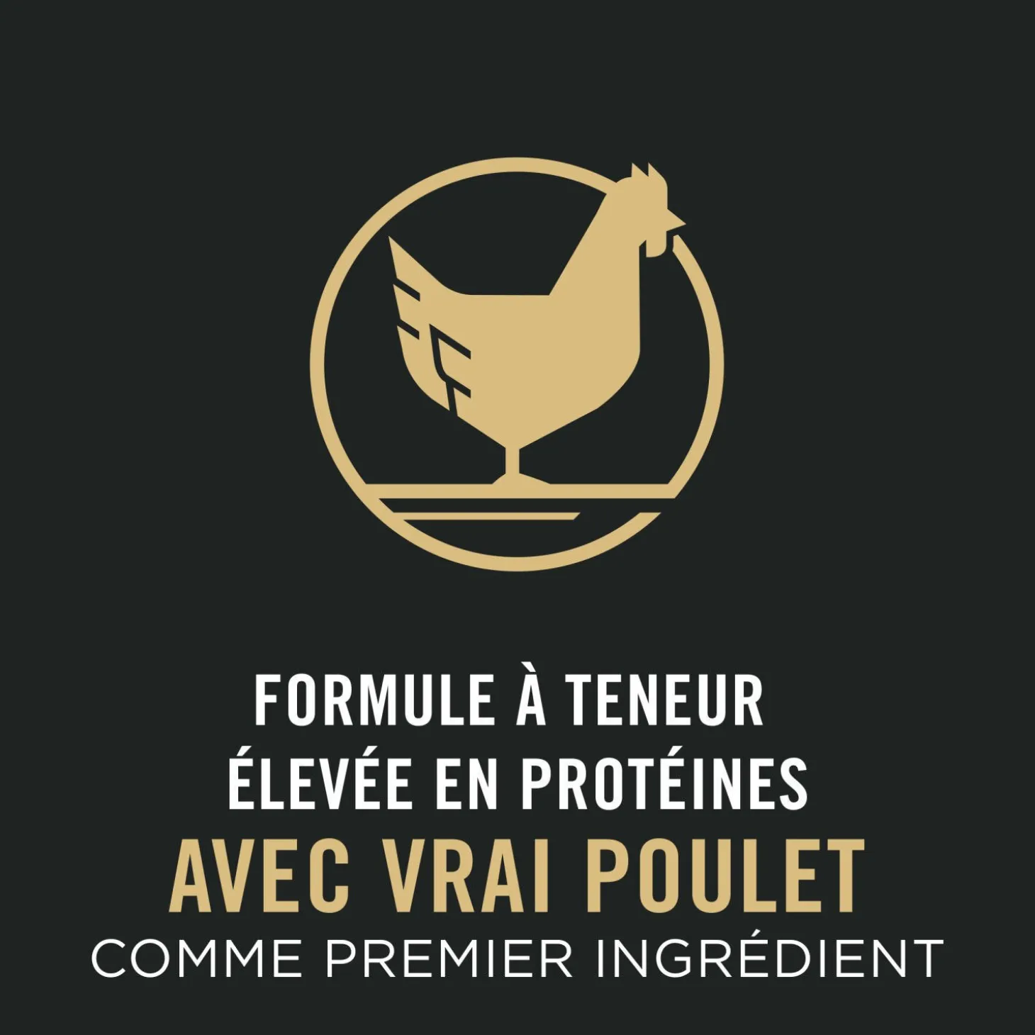 Sport Active 27/17 Chicken & Rice Dry Dog Food Formula, 17 kg