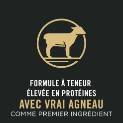 Sport Small Bites 27/17 Lamb and Rice Formula Dry Dog Food, 17 kg