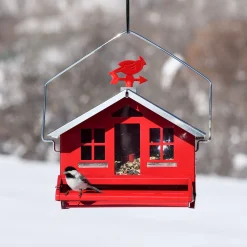 Squirrel Be Gone II Country House with Weathervane
