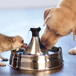 Stainless steel drinking fountain for pets