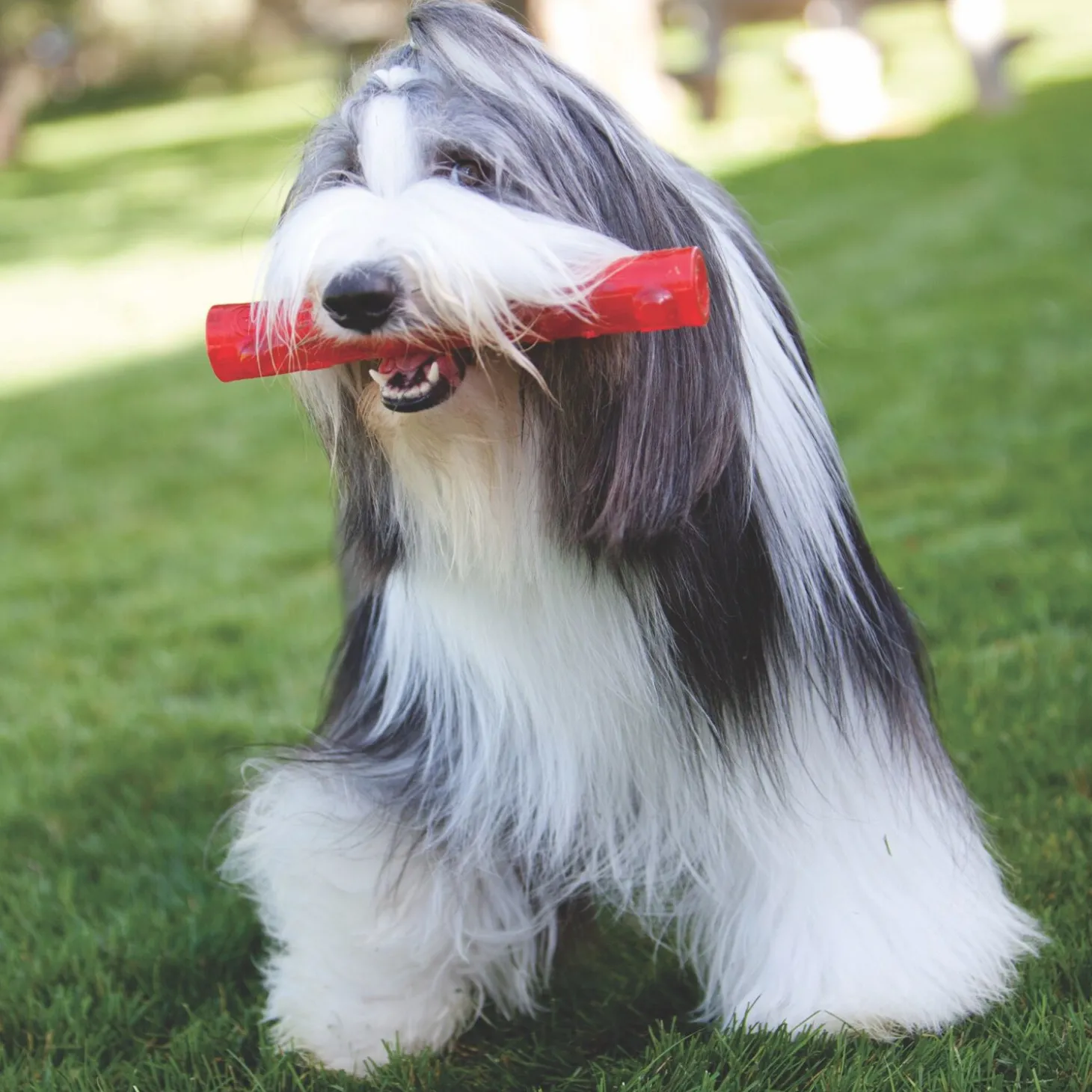 Stick-shaped toy