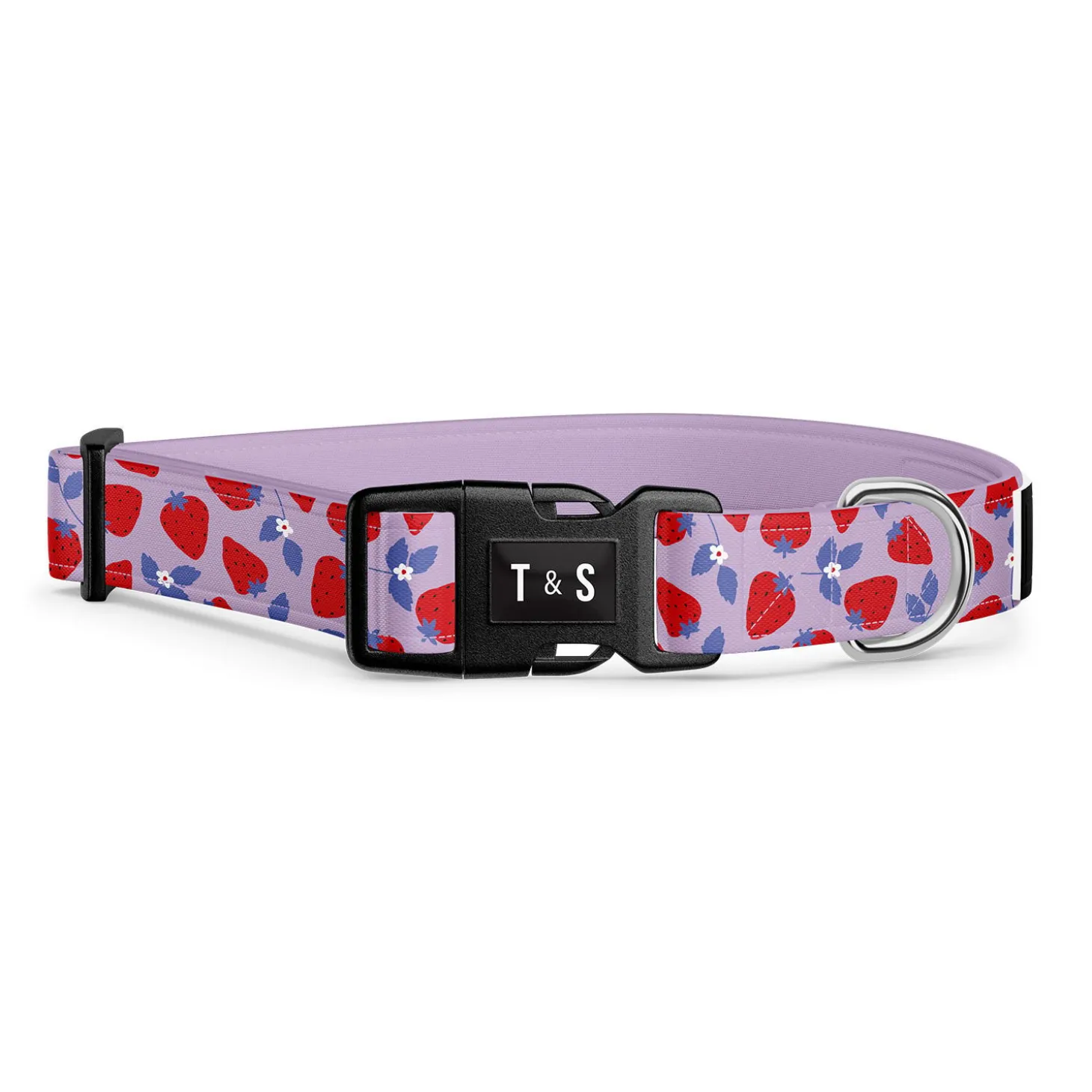 Strawberry Field Adjustable Dog Collar