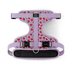 Strawberry Field Adjustable Dog Harness