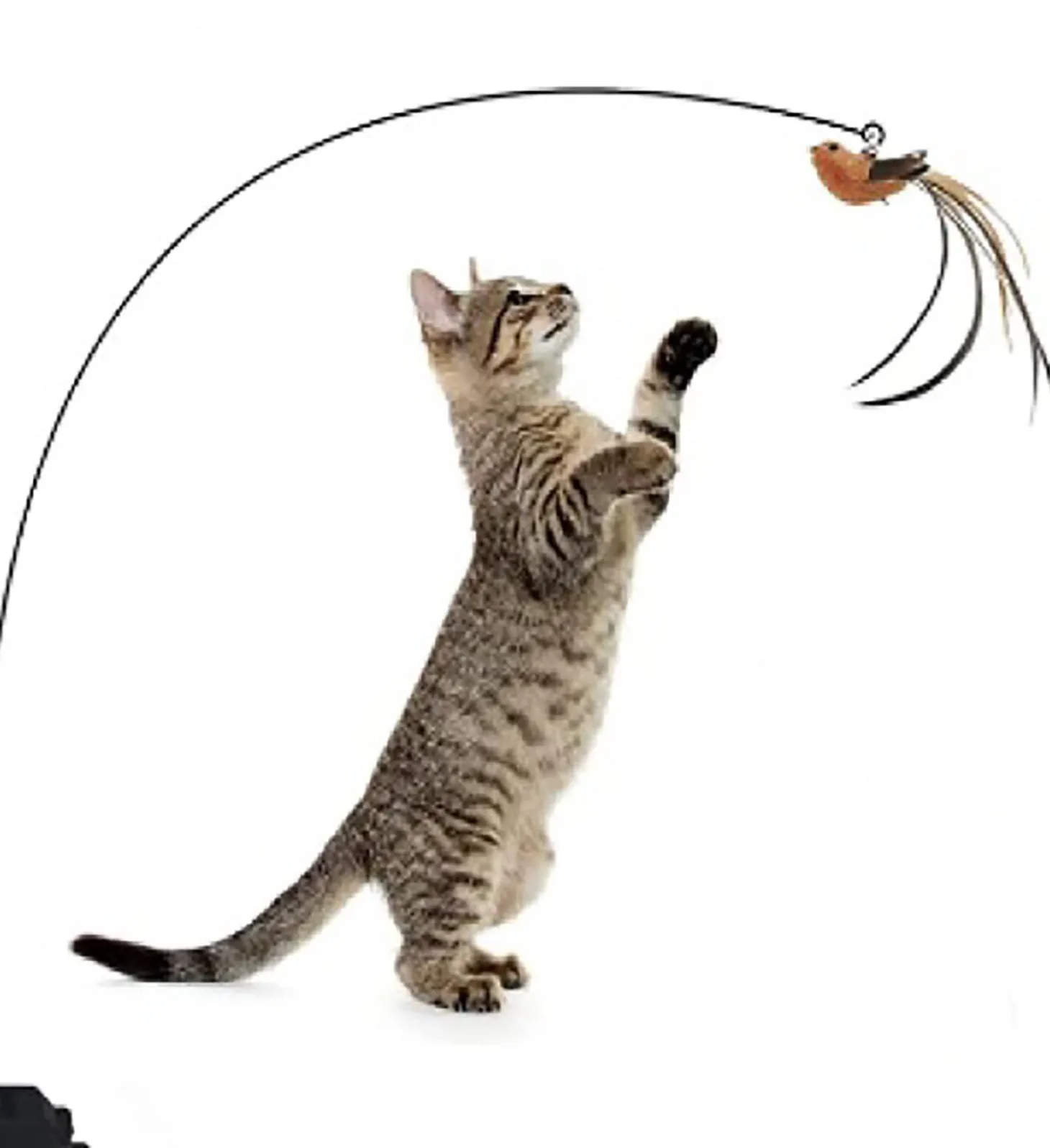 Suction Pole Cat Toy