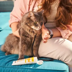 Summer Lotion with Shea Butter for Pets