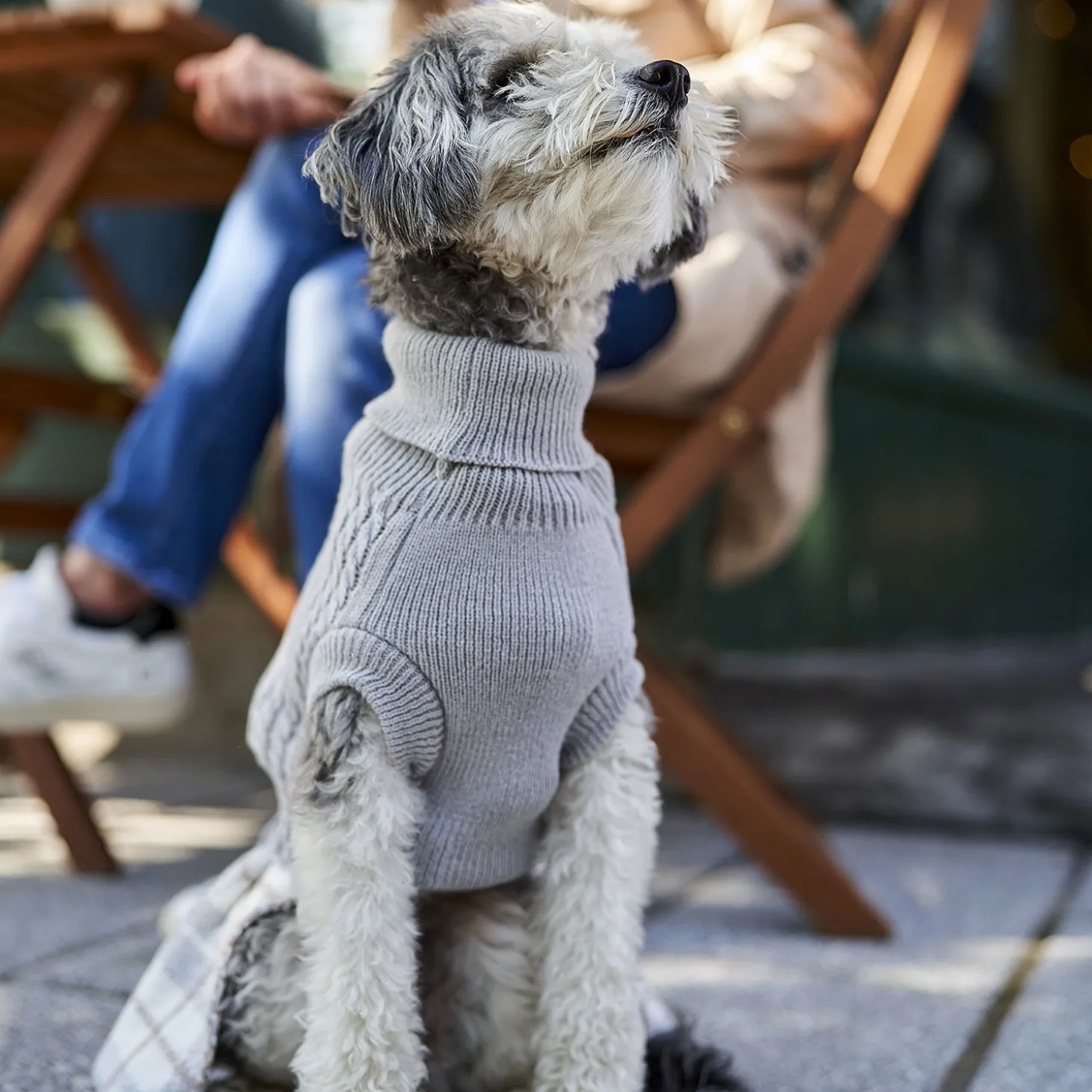 Sweater-dress for Small Dogs