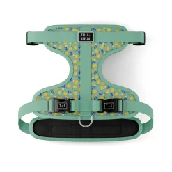 Sweet Lemonade Dog Harness