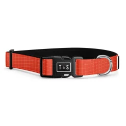 Tango Adjustable Dog Collar