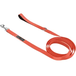 Tango Cat Leash