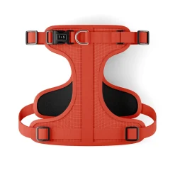 Tango Dog Harness