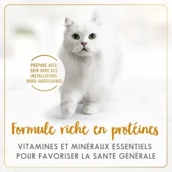 Tender liver and chicken wet food for adult cats