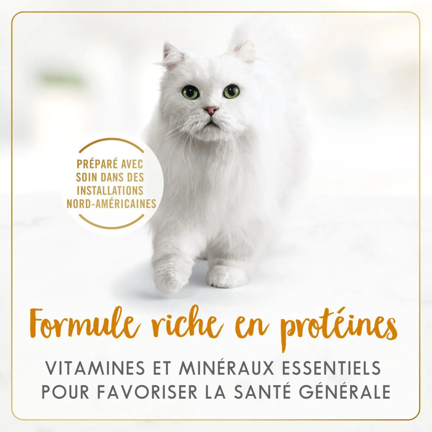 Tender liver and chicken wet food for adult cats