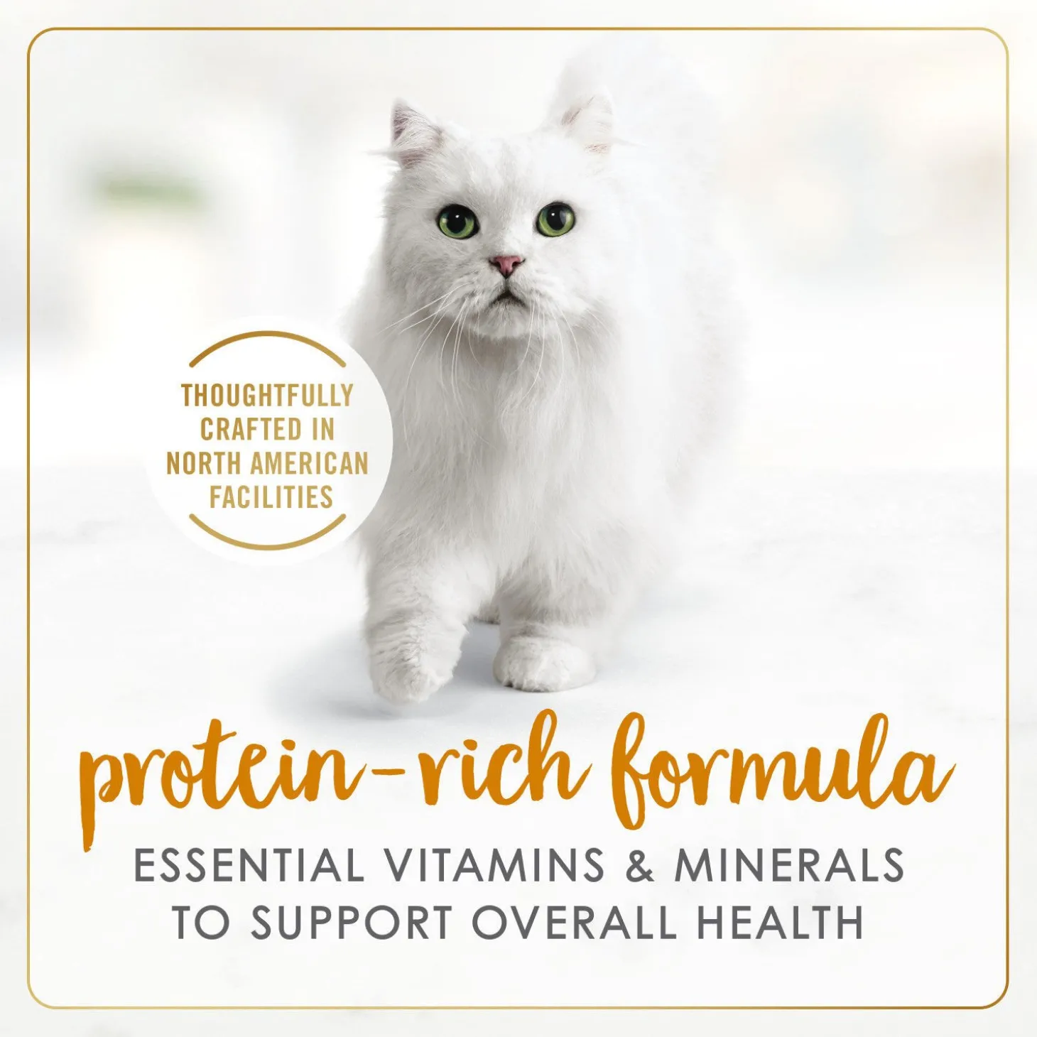 Tender liver and chicken wet food for adult cats