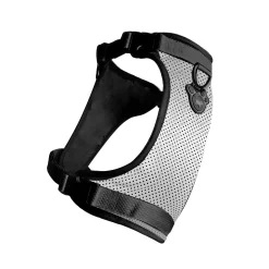 The Everything Harness for Dogs