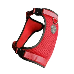 The Everything Harness for Dogs