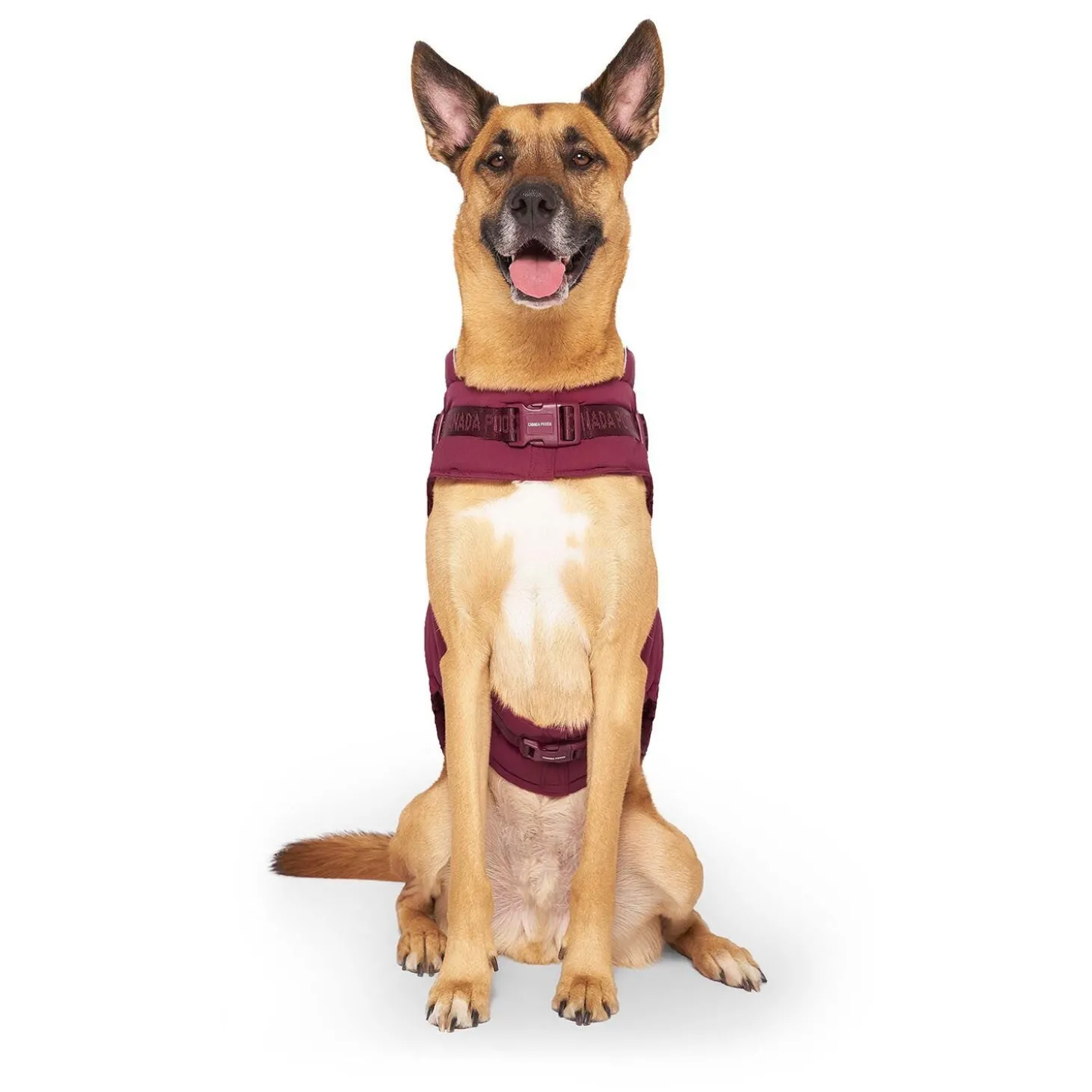 The Harness Puffer