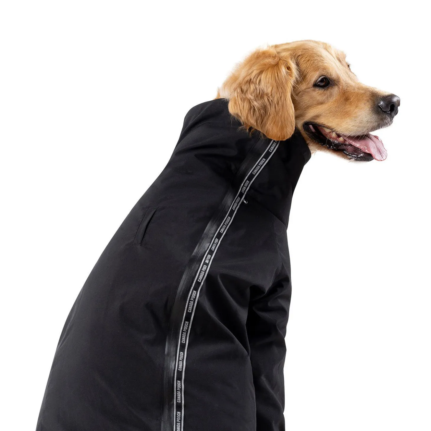The Slush Suit for Dogs