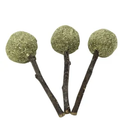 Timmy Pops for Rodents