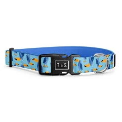 Toco the Toucan Adjustable Dog Collar