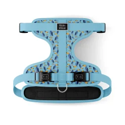 Toco the Toucan Dog Harness