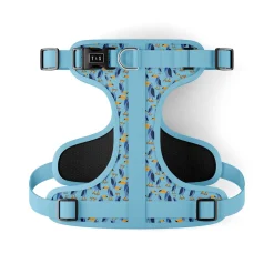 Toco the Toucan Dog Harness