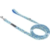 Toco the Toucan Dog Leash