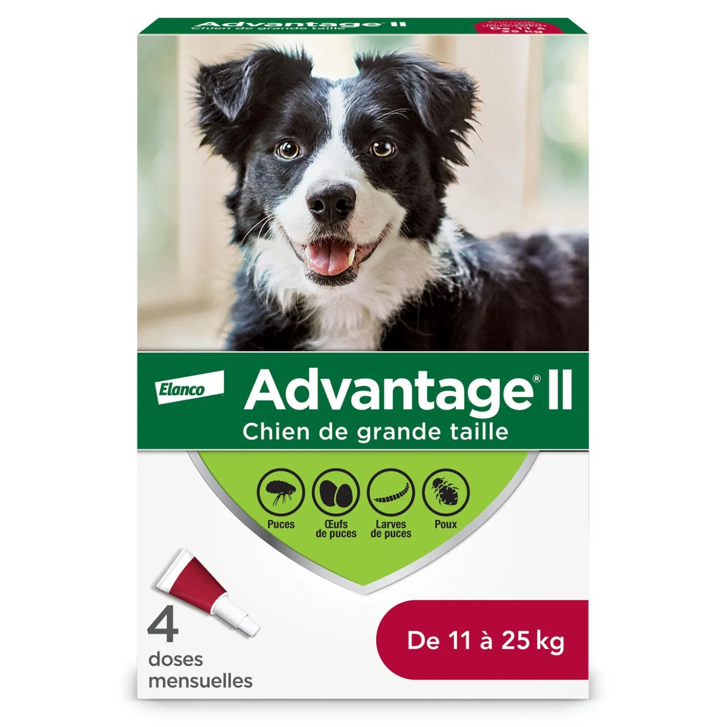 Topical Flea and Lice Protection for Dog 11 to 25 kg, 4 pack