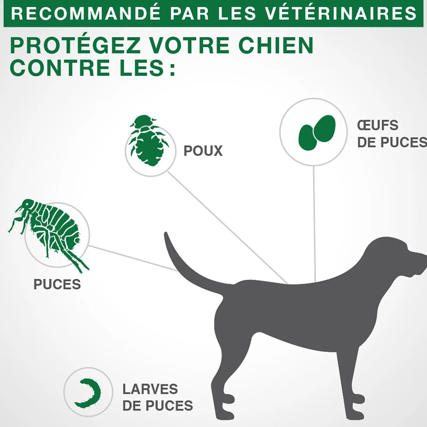 Topical Flea and Lice Protection for Dogs 25 kg +, 6 pack