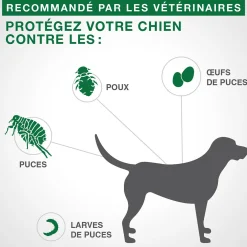 Topical Flea and Lice Protection for Dog 25 kg +, 4 pack