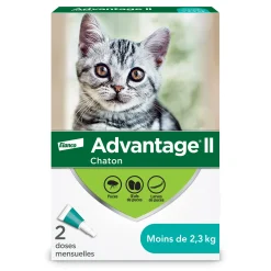 Topical flea protection for kitten - 2 pack