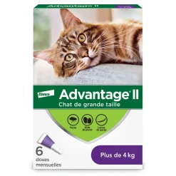 Topical flea protection for cat 4+ kg, 6 pack