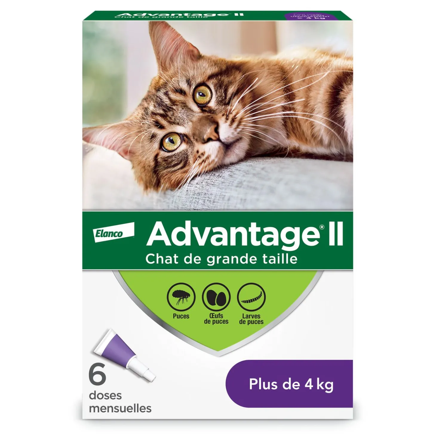 Topical flea protection for cat 4+ kg, 6 pack