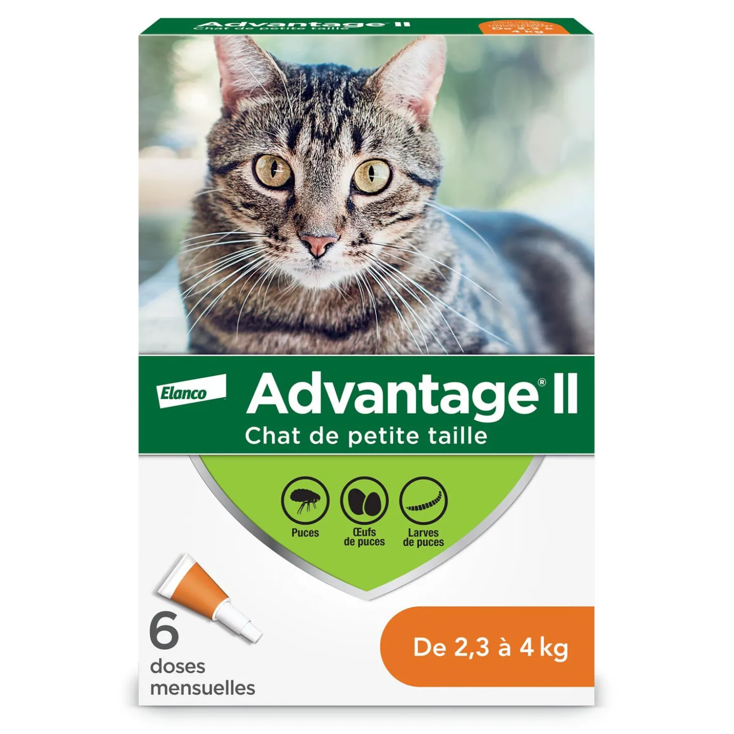 Topical flea protection for cat 2.3 to 4 kg, 6 pack