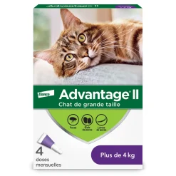 Topical flea protection for cat 4+ kg, 4 pack
