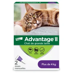 Topical flea protection for cat 4+ kg, 2 pack