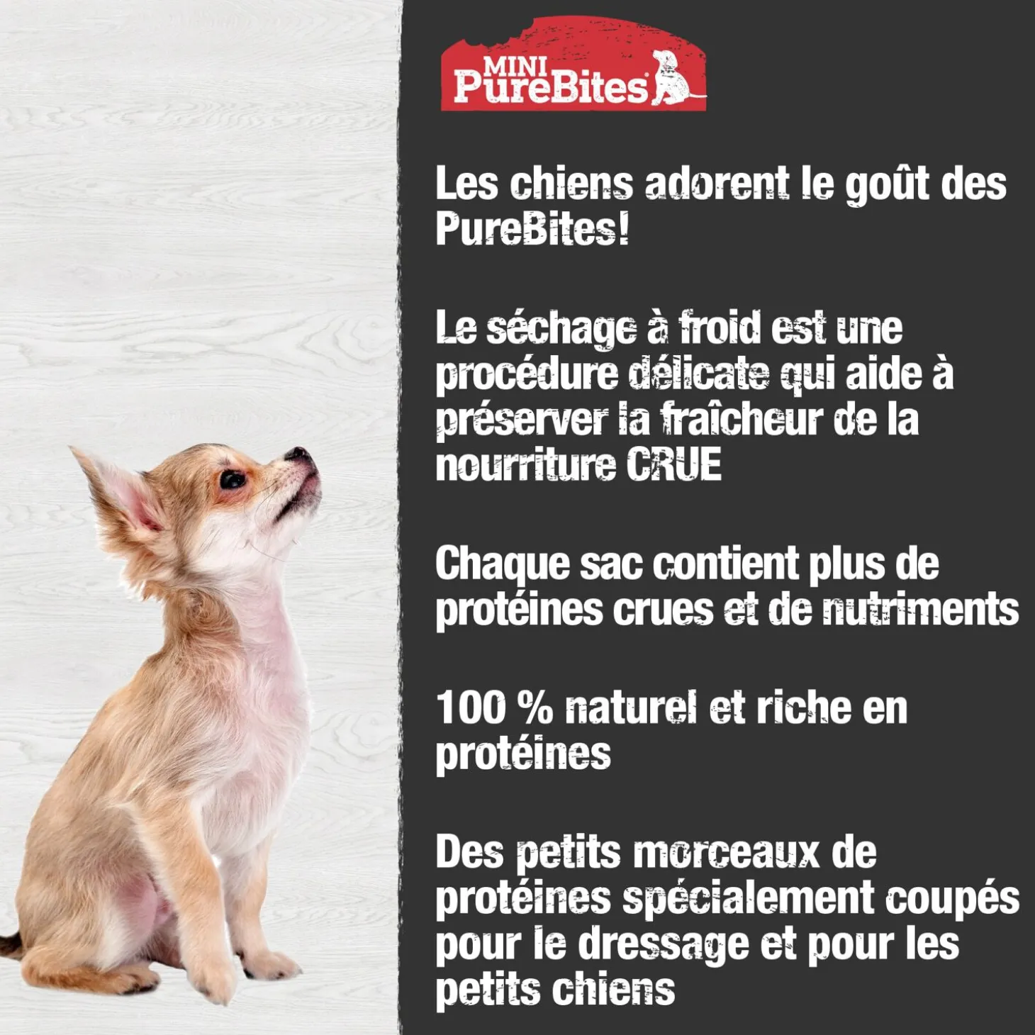 Training treats for dogs, freeze-dried chicken