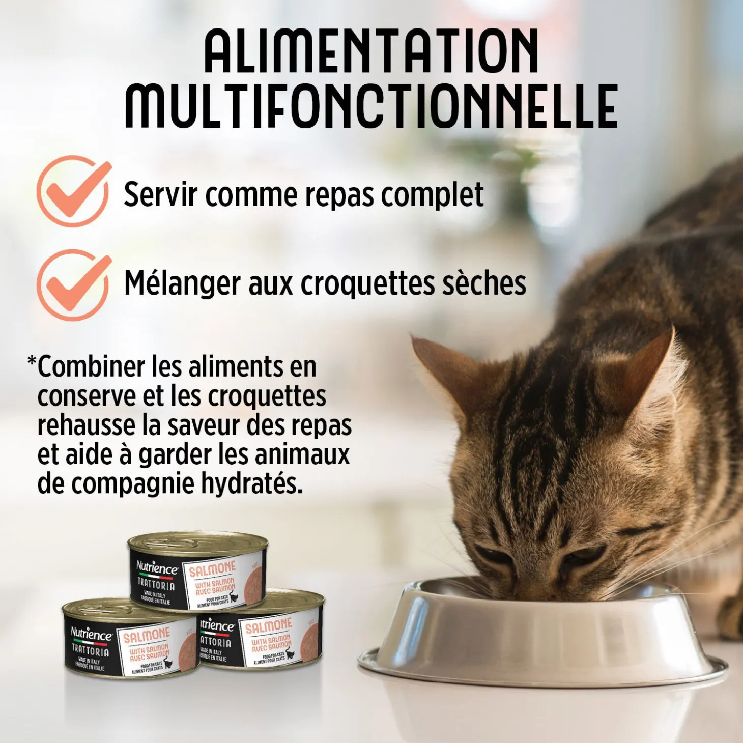Trattoria Wet Food with Salmon for Cats, 85 g