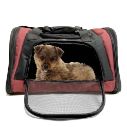 Travel pet carrier, red