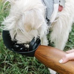 Travel Water Bowl, Onyx